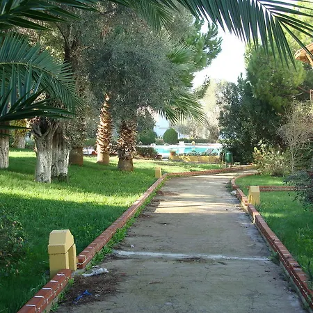 Dream * Didim