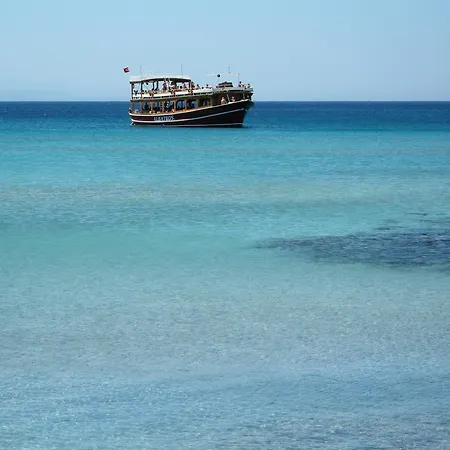Dream Didim